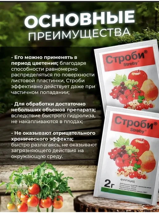 Строби фунгицид, 10 штук по 2 гр, 2 г, фото 2