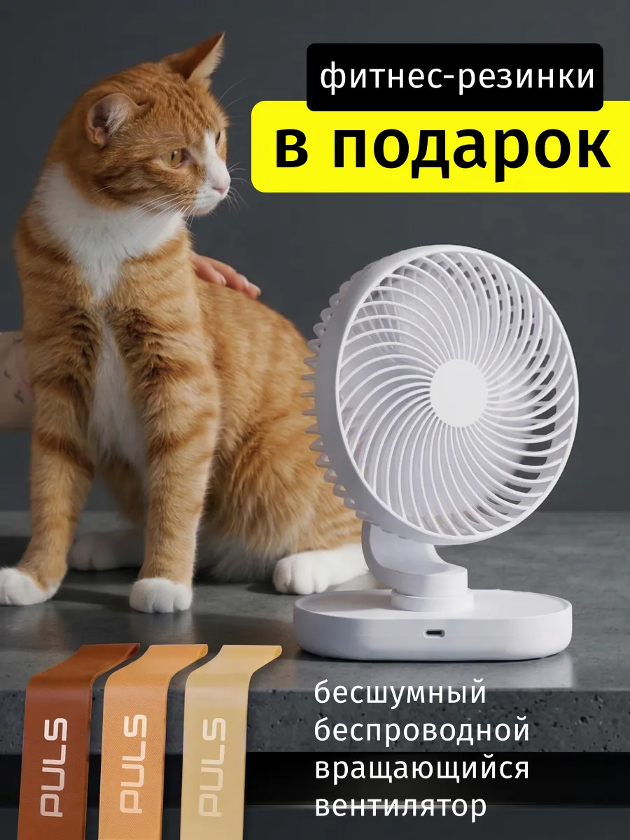 Вентилятор настольный аккумуляторный для дома бесшумный
