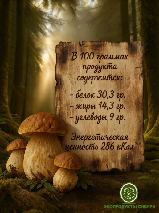 ЭКОПРОДУКТЫ СИБИРИ Сушеные белые грибы для варки и жарки, 100 грамм, белый, в упаковке 1 кг, фото 2
