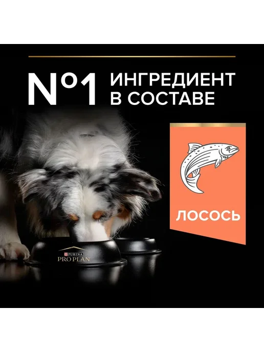Сухой корм PRO PLAN Skin для собак, взрослые, средние, чувствительное пищеварение, 14 кг, фото 3