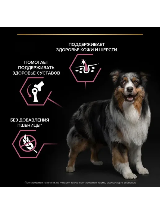 Сухой корм PRO PLAN Skin для собак, взрослые, средние, чувствительное пищеварение, 14 кг, фото 5