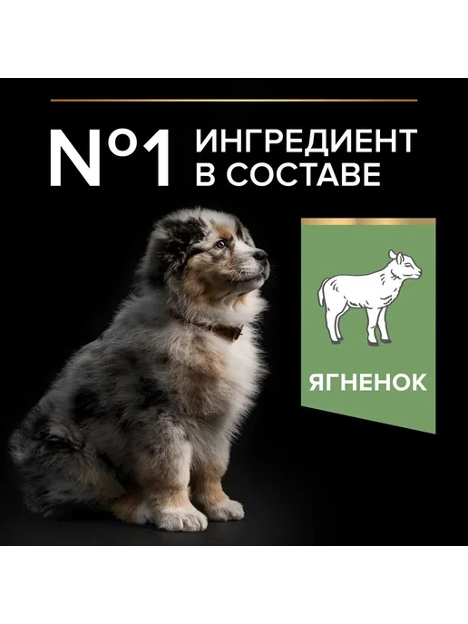 Сухой корм PRO PLAN Digestion Чу… для собак, средние, чувствительное пищеварение, щенки, 12 кг, фото 4