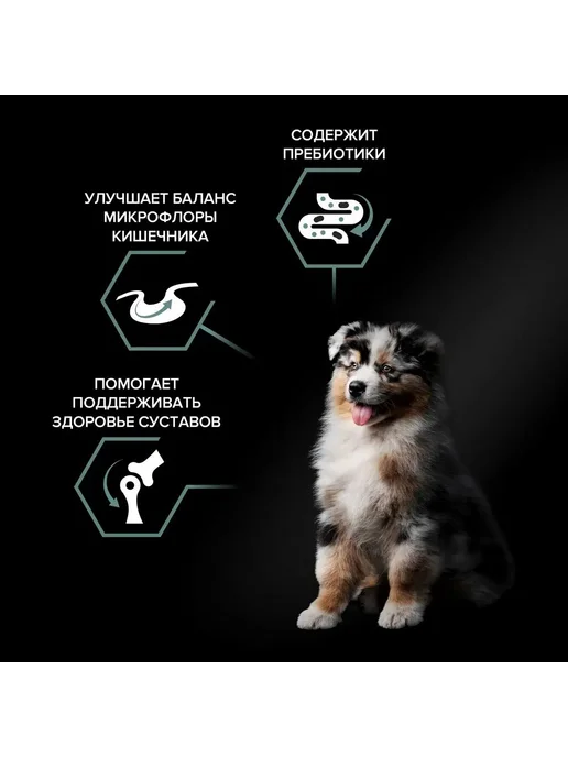 Сухой корм PRO PLAN Digestion Чу… для собак, средние, чувствительное пищеварение, щенки, 12 кг, фото 5