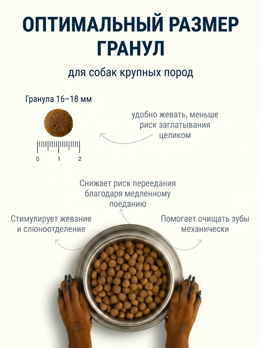 Сухой корм BERITA для собак, крупные, рыба, 10 кг, фото 3
