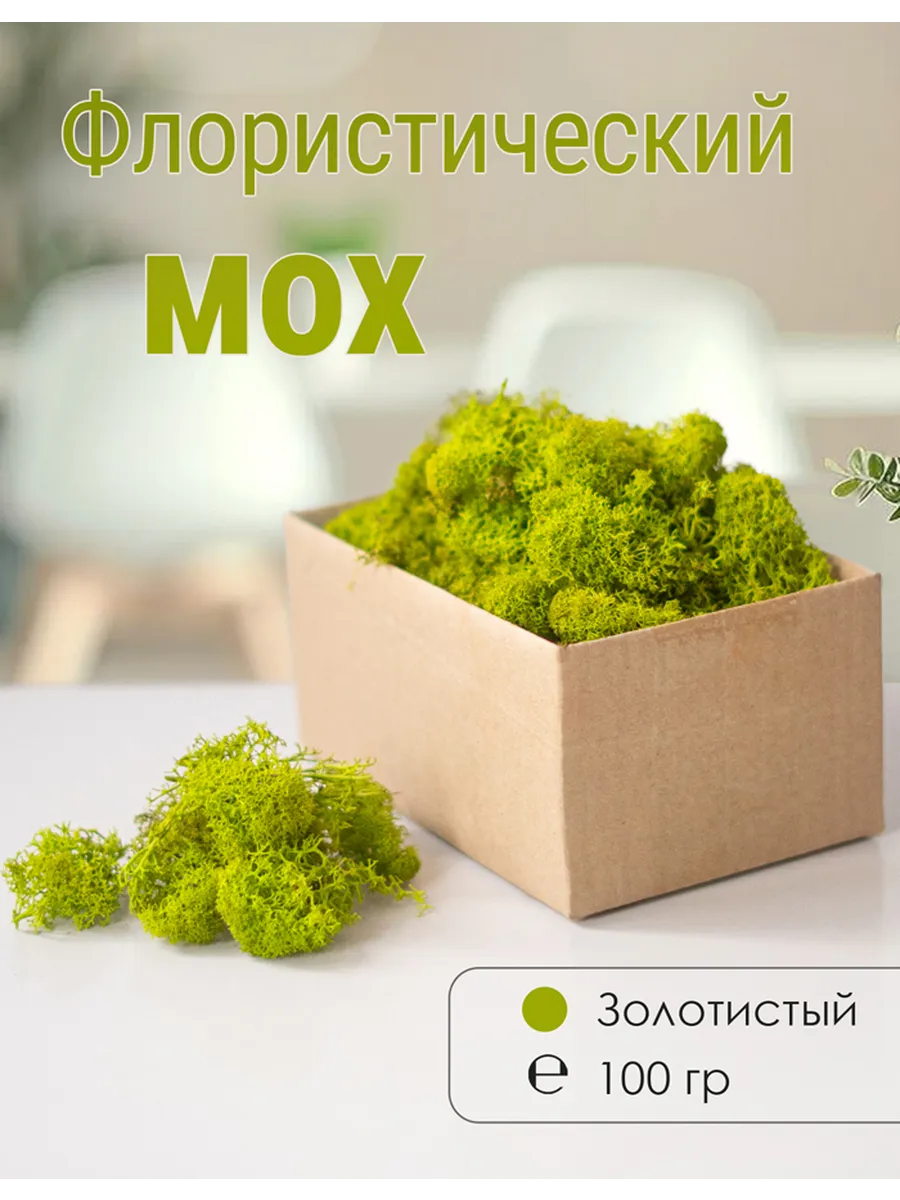Мох стабилизированный мелкий 100 г