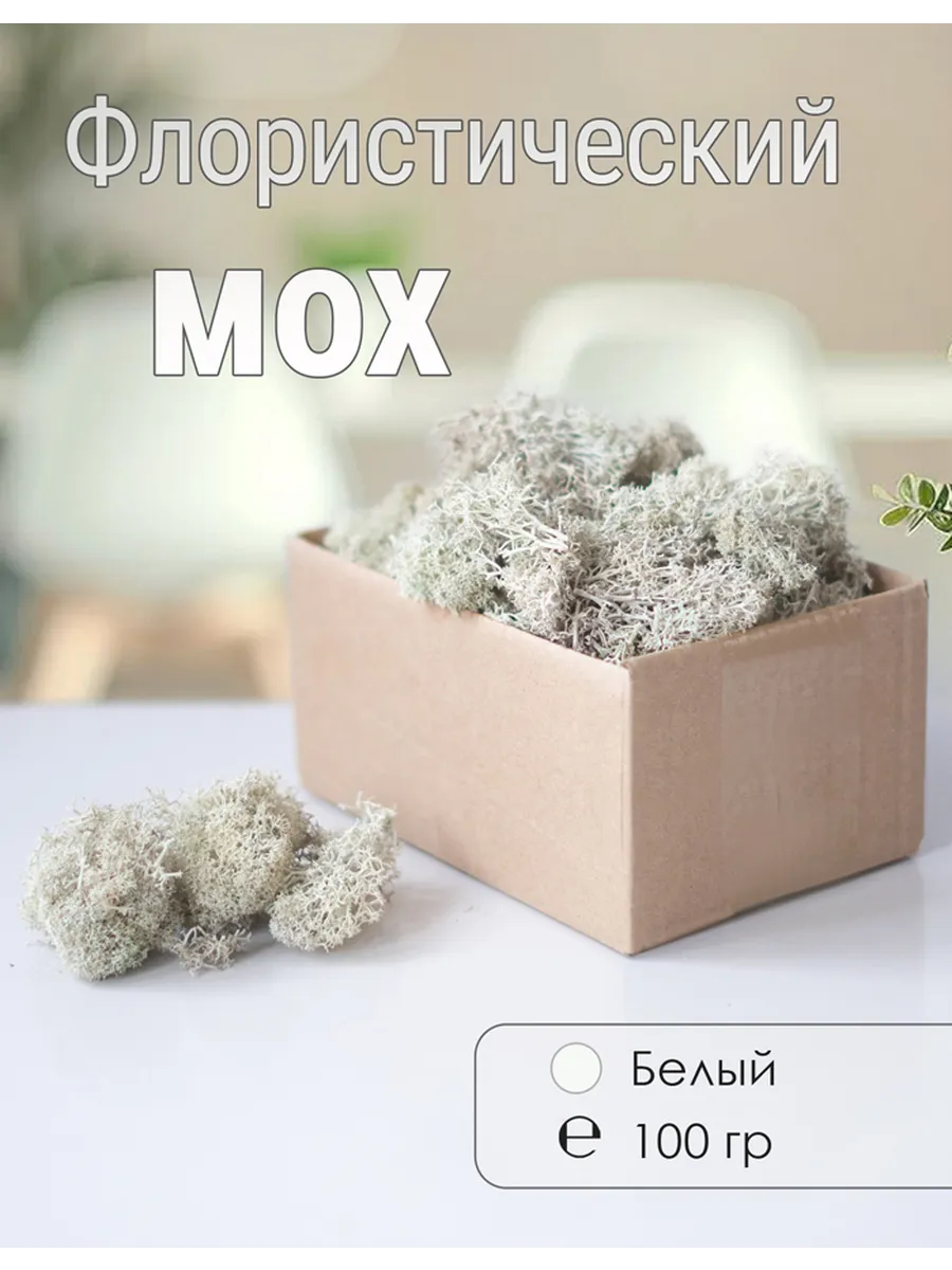 Мох стабилизированный мелкий 100 г