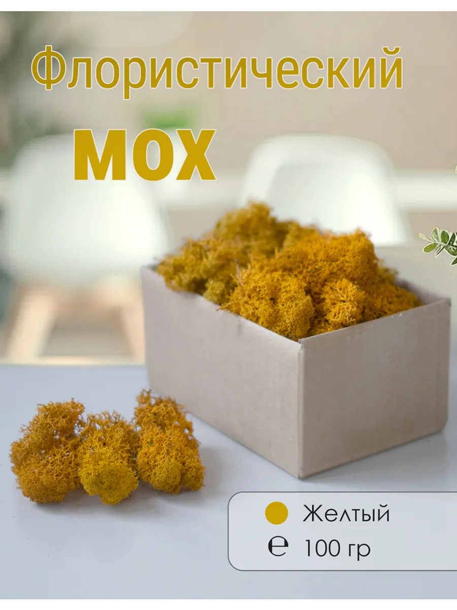 Мох стабилизированный мелкий 100 г