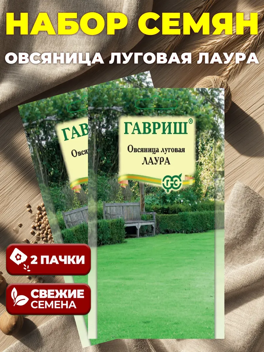 Лаура - Зеленый лес - 86 фото