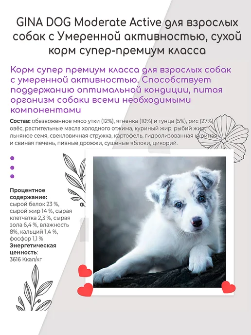 Сухой корм Gina Умеренной Активностью для собак, 18 кг, фото 2