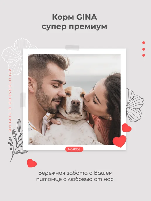 Сухой корм Gina Умеренной Активностью для собак, 18 кг, фото 4
