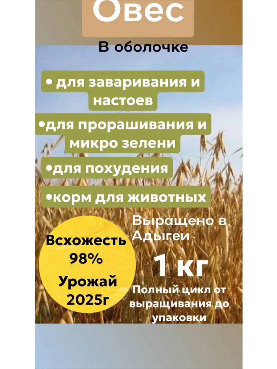 Овёс для заваривания и проращивания в оболочке