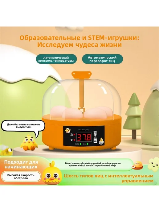 Инкубатор для яиц автоматический с автоповоротом 4 яиц, оранжевый, фото 2