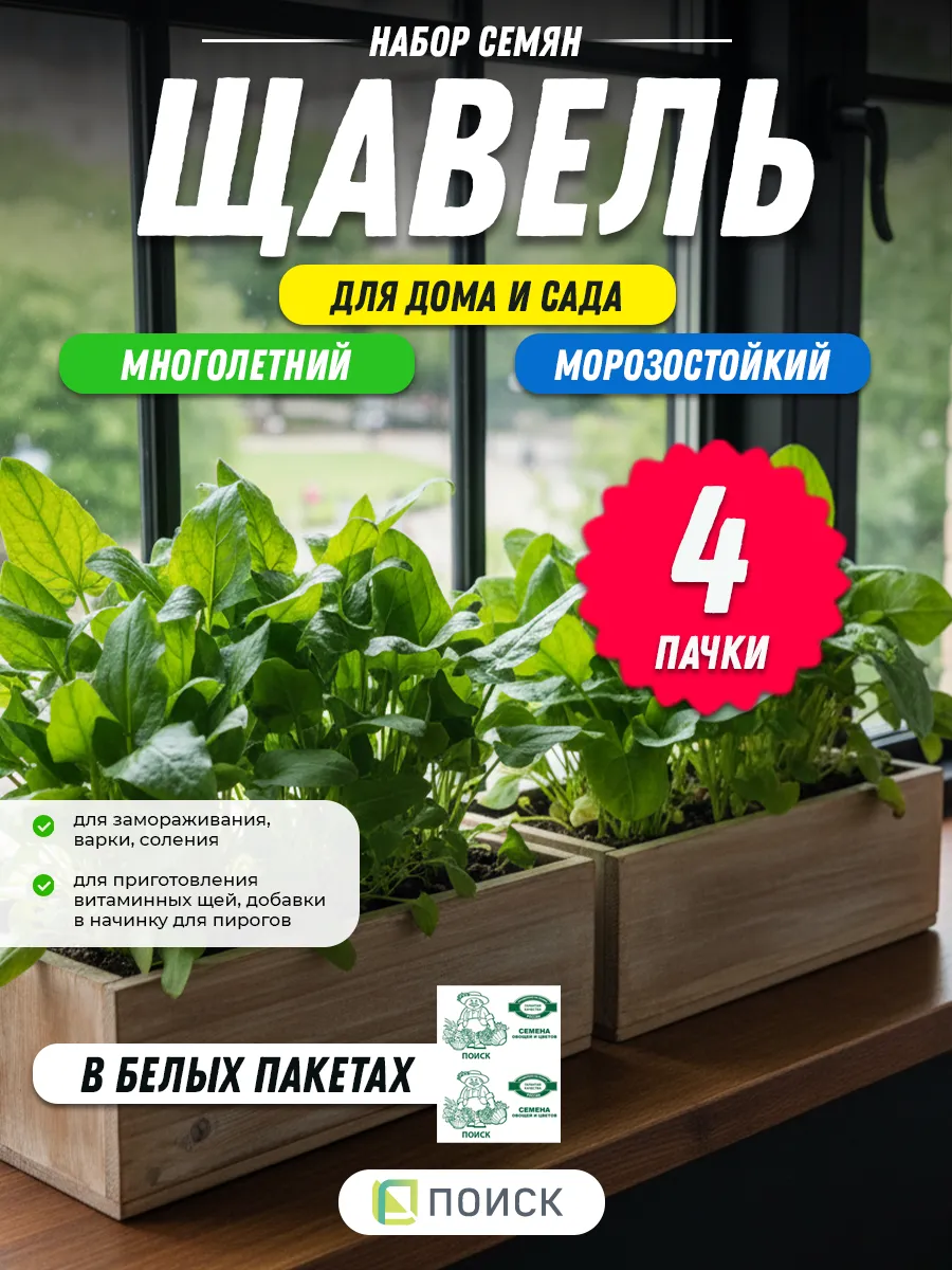 Щавель семена многолетний крупнолистный - 4 шт