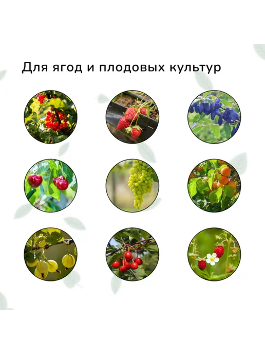 <> Сетка садовая 10х4 м 15х15 мм от птиц, 10x4 м, 4 м, фото 2
