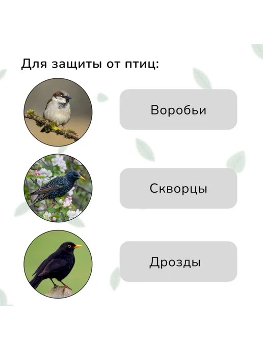 <> Сетка садовая 10х4 м 15х15 мм от птиц, 10x4 м, 4 м, фото 3