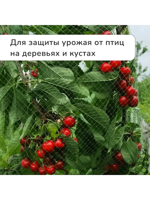 <> Сетка садовая 10х4 м 15х15 мм от птиц, 10x4 м, 4 м, фото 5