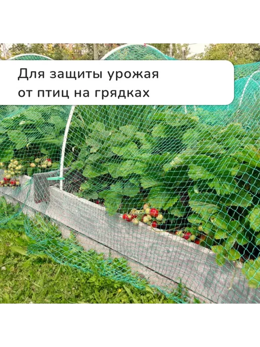 <> Сетка садовая 10х4 м 15х15 мм от птиц, 10x4 м, 4 м, фото 6