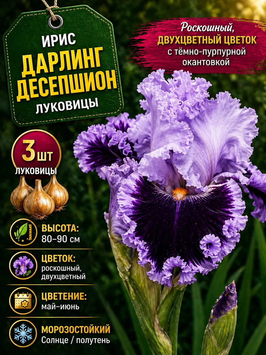 Ирис луковицы многолетние Дарлинг Десепшион 3шт