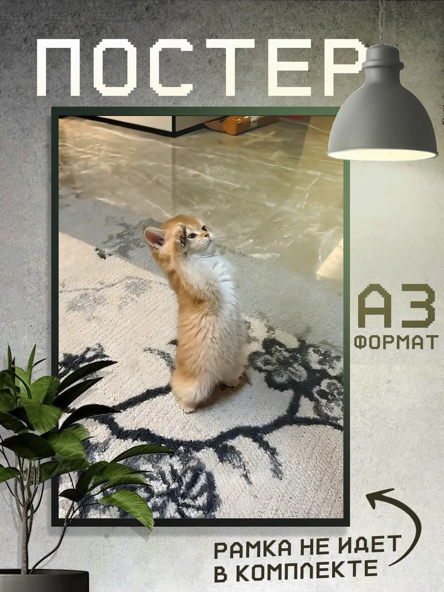 Постер Мемы, Юмор