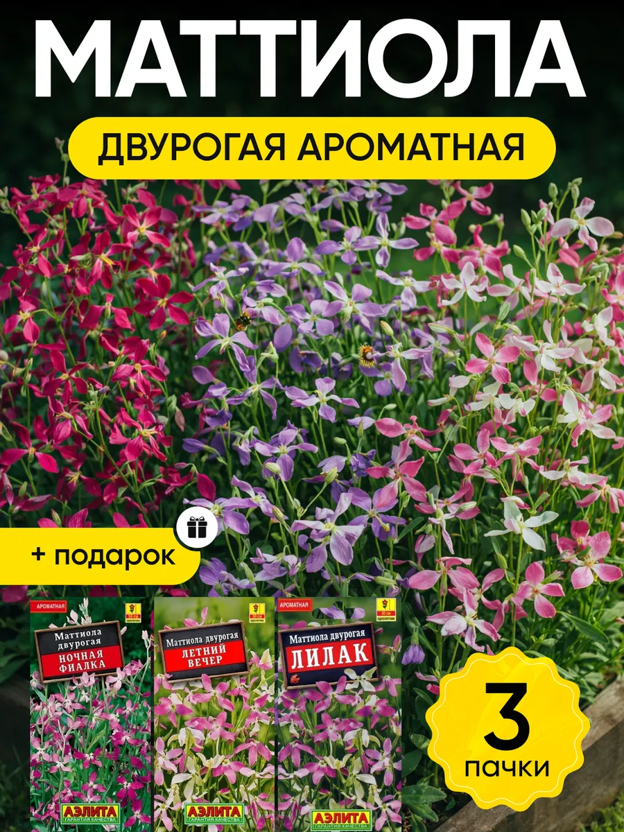 Семена маттиолы