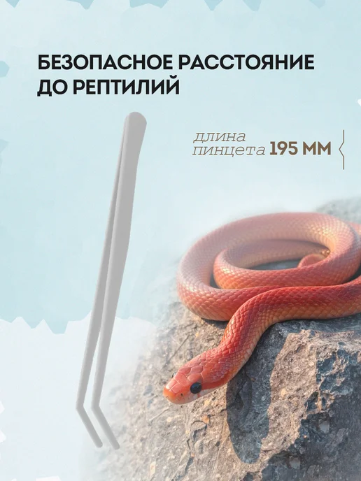 Пинцет для кормления рептилий, белый, фото 2