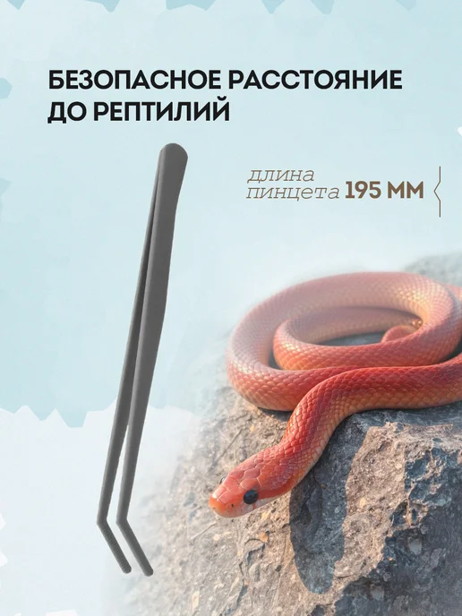 Пинцет для кормления рептилий, серый, фото 2