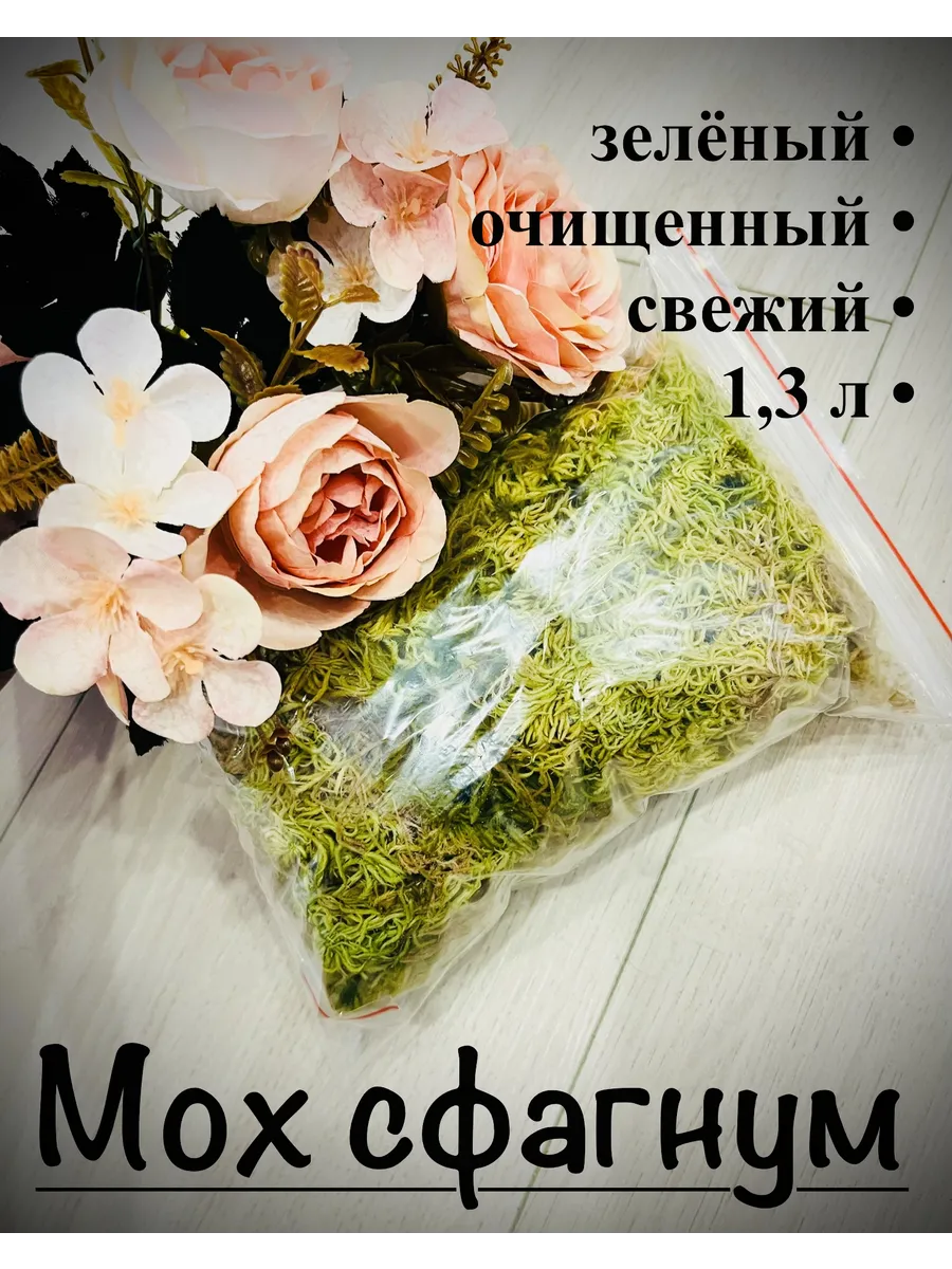 Мох Сфагнум живой