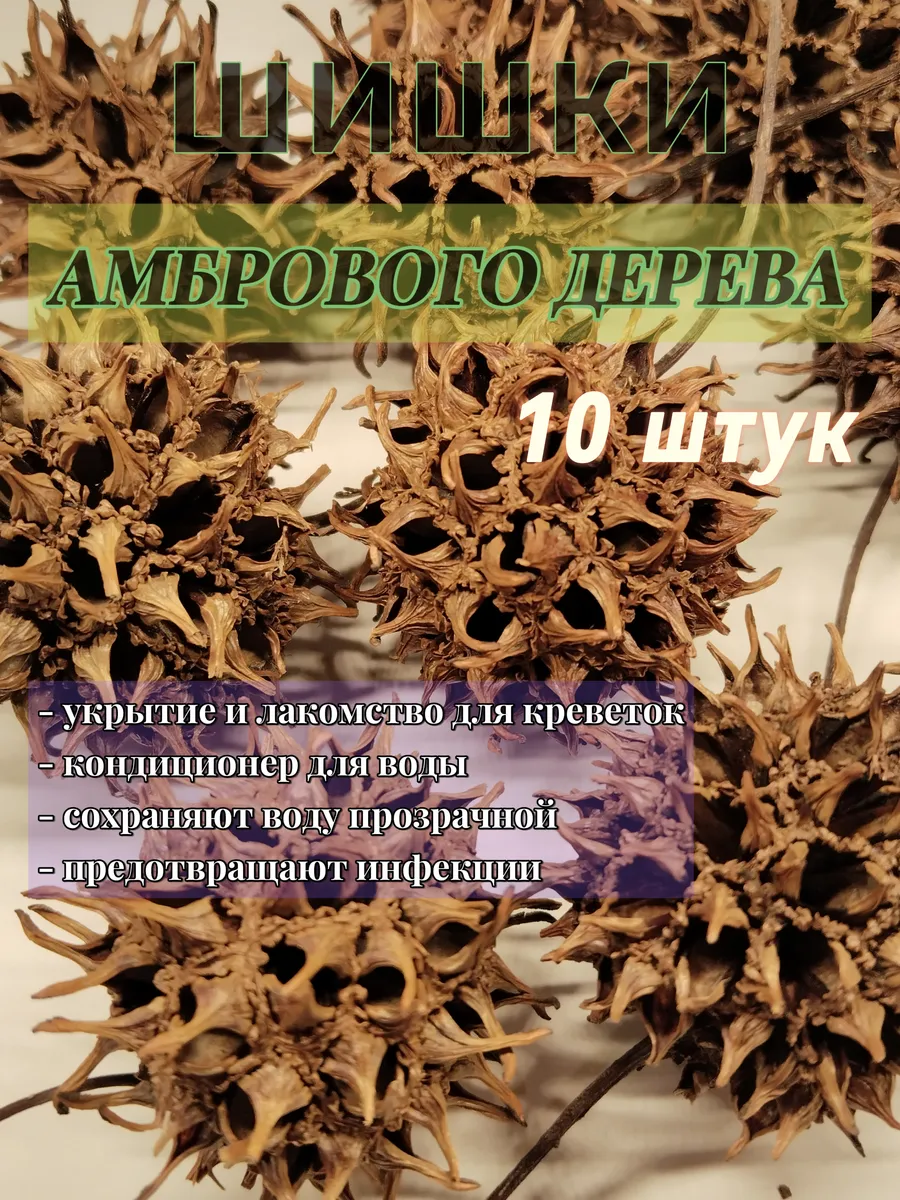 Шишки амбрового дерева 10 штук