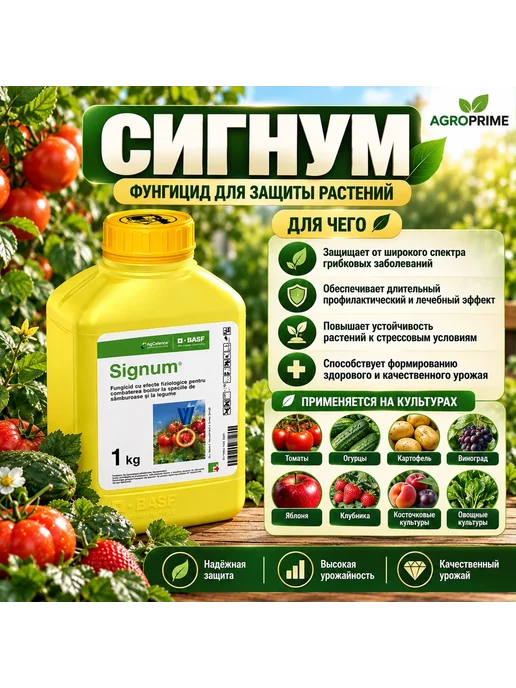 Agro Expert Фунгицид Сигнум 50г, 50 г, фото 2