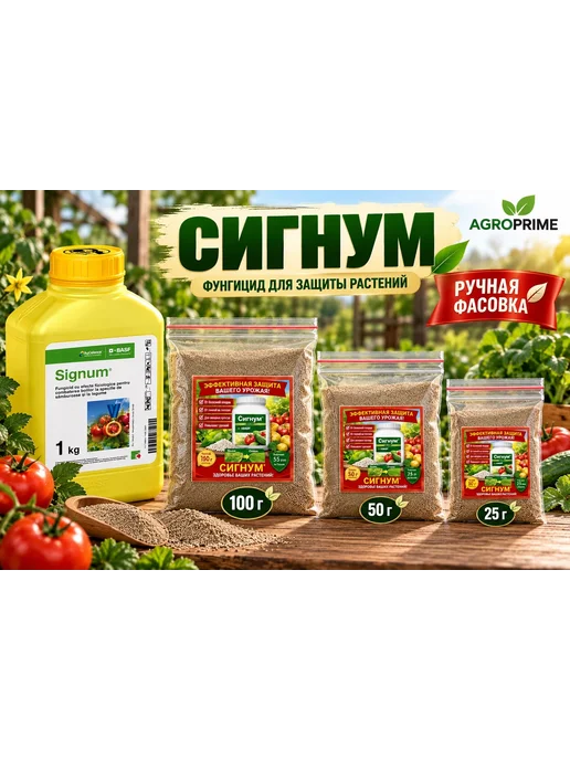 Agro Expert Фунгицид Сигнум 50г, 50 г, фото 3
