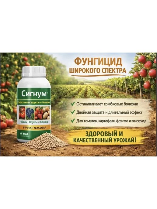 Agro Expert Фунгицид Сигнум 50г, 50 г, фото 4