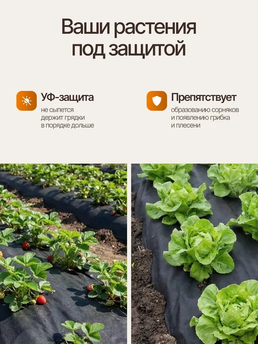 Геотекстиль черный 300 (40м2), черный, фото 3
