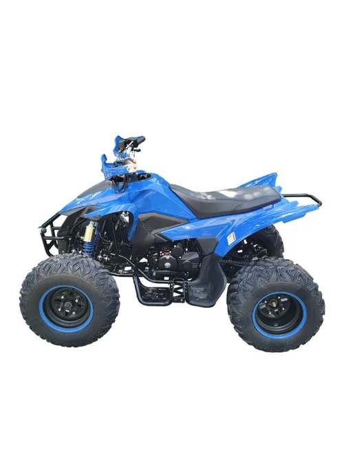 EX-MOTO Raptor 250 YFM кт-зч, синий, фото 5