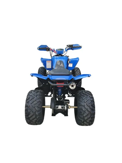 EX-MOTO Raptor 250 YFM кт-зч, синий, фото 7