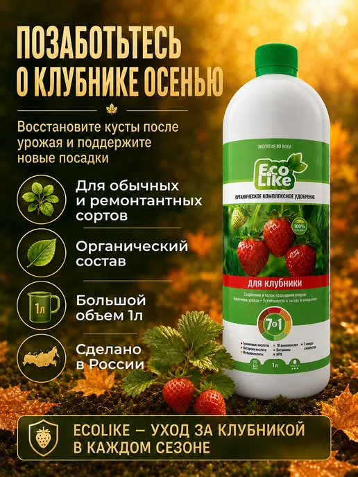 Ecolike Удобрение для клубники осенью после плодоношения, вариант, фото 3