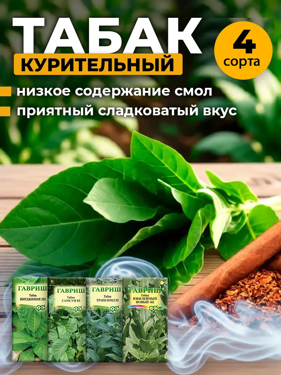 Семена табака курительного