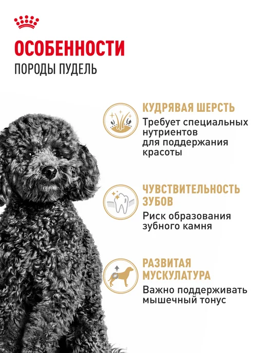 Сухой корм Royal canin Пудель для собак, взрослые, 1,5 кг, фото 2