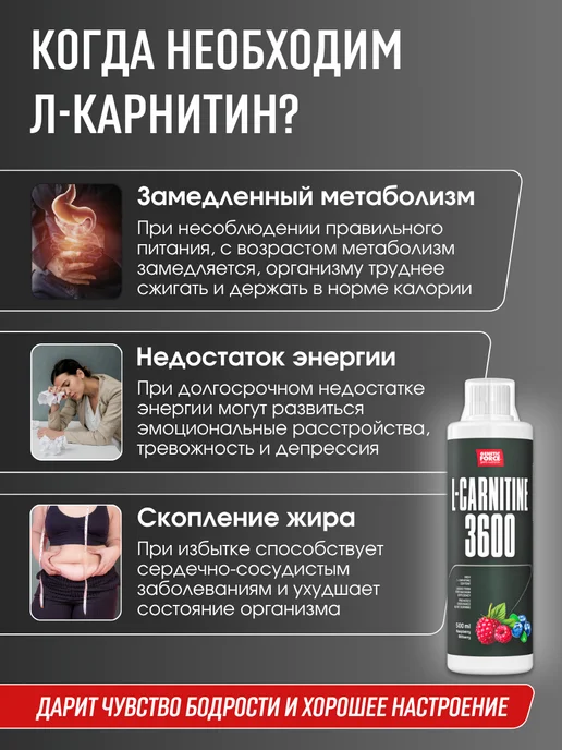 GENETIC FORCE L carnitine 3600 для похудения, жиросжигатель, 500 мл, фото 3