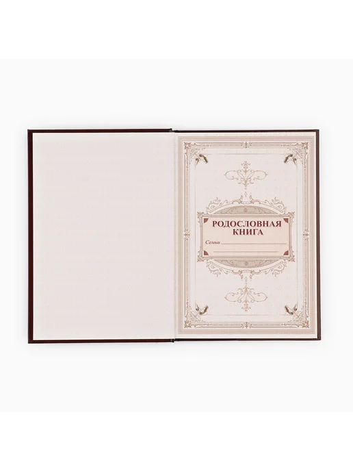 Родословная книга в шкатулке «Наш род», красный, фото 7