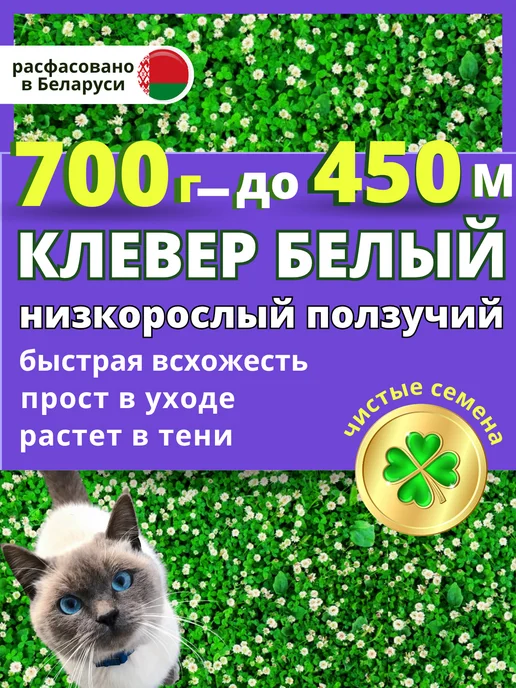 0!SEmena Низкорослый клевер белый ползучий семена для газона 0,7 кг, 0,7 кг, фото 2