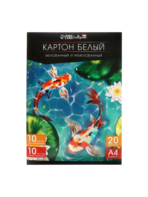 Gamepad Картон белый А4, 20 л 10 л мелованного 10 л немелованного, 20 л, 10 л, фото 2