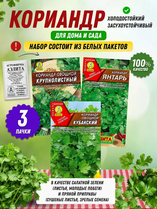 Агрофирма АЭЛИТА Кинза семена для огорода и подоконника 3 шт, 3 шт, фото 2