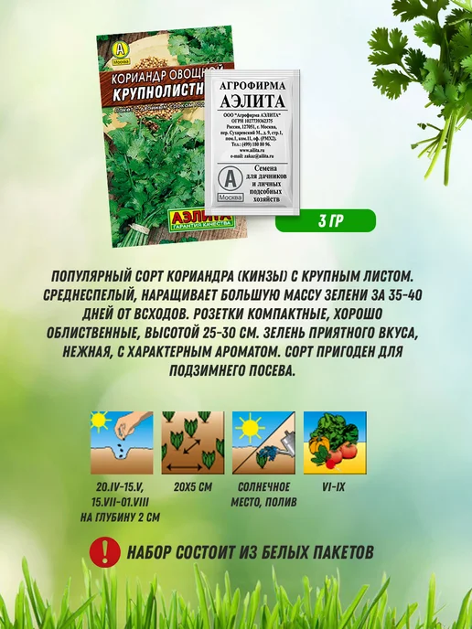 Агрофирма АЭЛИТА Кинза семена для огорода и подоконника 3 шт, 3 шт, фото 4