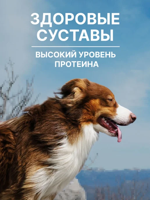 Сухой корм NERO GOLD Dog Super для собак, ягненок, 20 кг, фото 2
