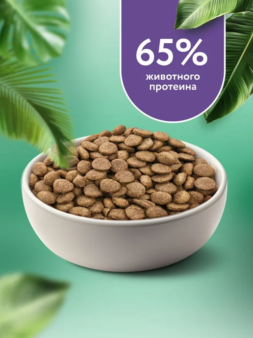 Сухой корм FLORIDA Dog Blueberry для собак, взрослые, крупные, средние, индейка, ягненок, 18 кг, фото 2