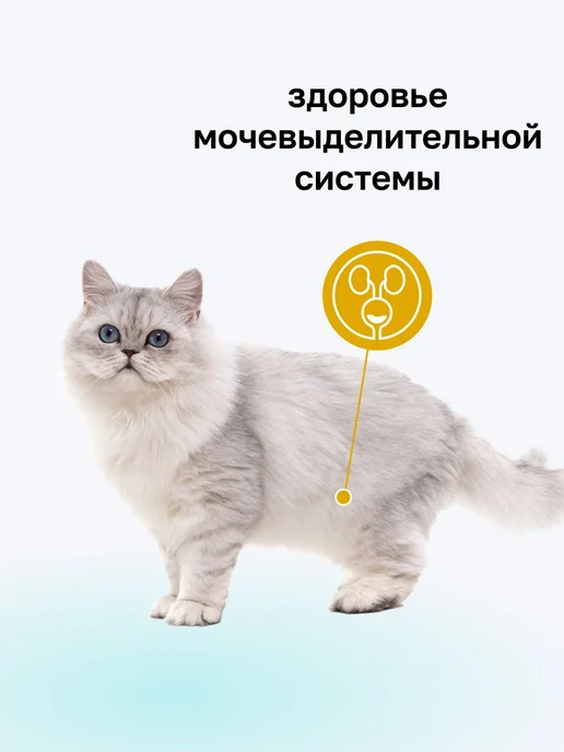 Сухой корм Organix Cat Preventive для собак, 7 кг, фото 2