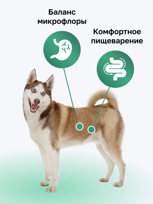 Сухой корм Organix Dog Breeder для собак, взрослые, чувствительное пищеварение, 20 кг, фото 3