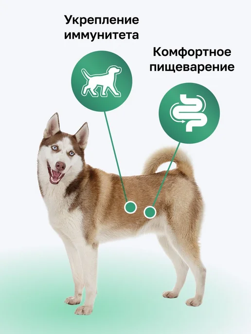 Сухой корм Organix Dog для собак, взрослые, крупные, средние, курица, 10 кг, фото 3