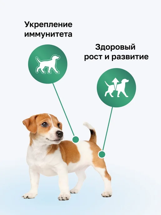 Сухой корм Organix Puppies Органикс для собак, щенки, ягненок, 3 кг, фото 2