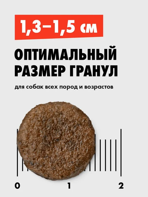Сухой корм ULTRA Dog Ультра… для собак, взрослые, ягненок, 20 кг, фото 7